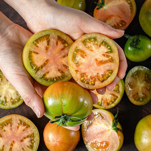 진짜 맛있을 때만 파는 갓 수확한 짭짤이 토마토 [무료배송]